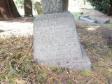 image of grave number 831003